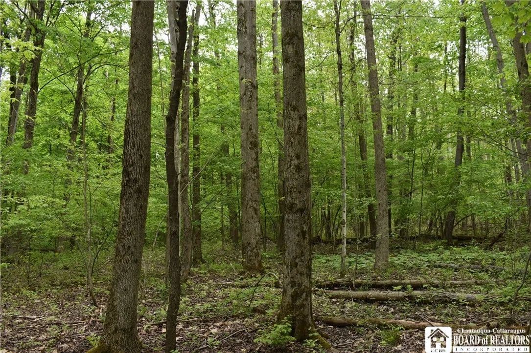 46.4 Acres of Land for Sale in Gerry, NY - Gerry, New York, 14740