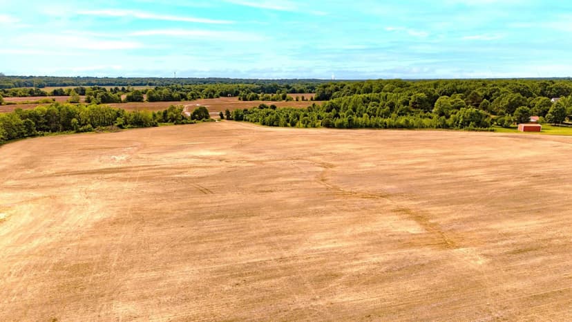 North Mississippi Row Crop Farm & Development Opportunity Near Memphis