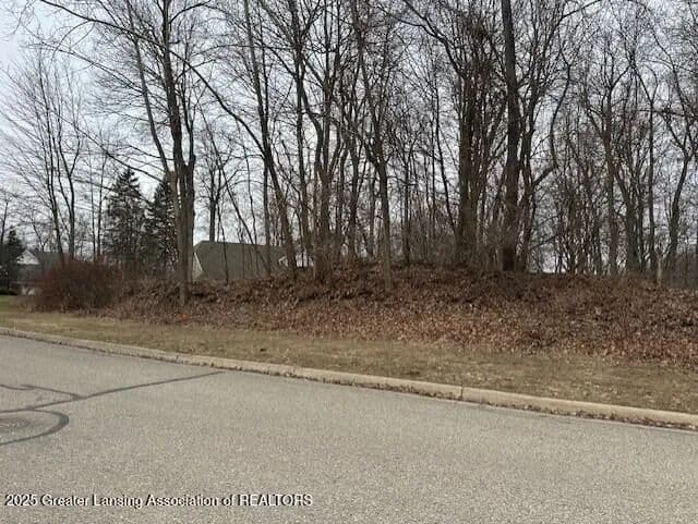 Lots & Land-Other in East Lansing