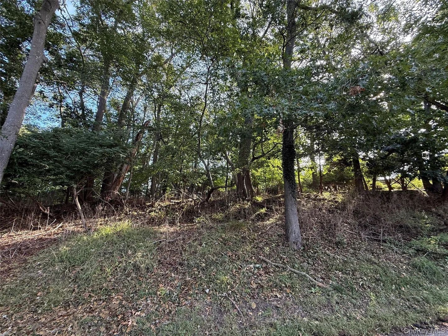 Lots & Land-Other in Wading River - Wading River, New York, 11792