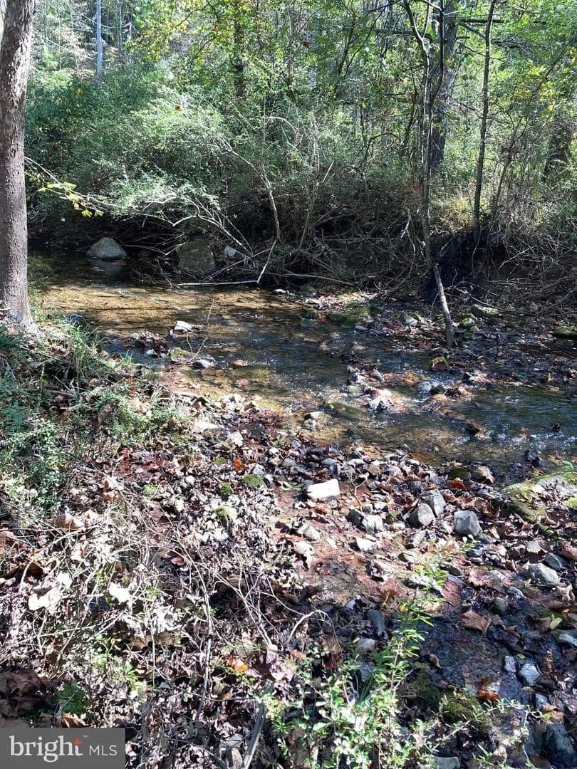 Lots & Land-Other in CAPON BRIDGE