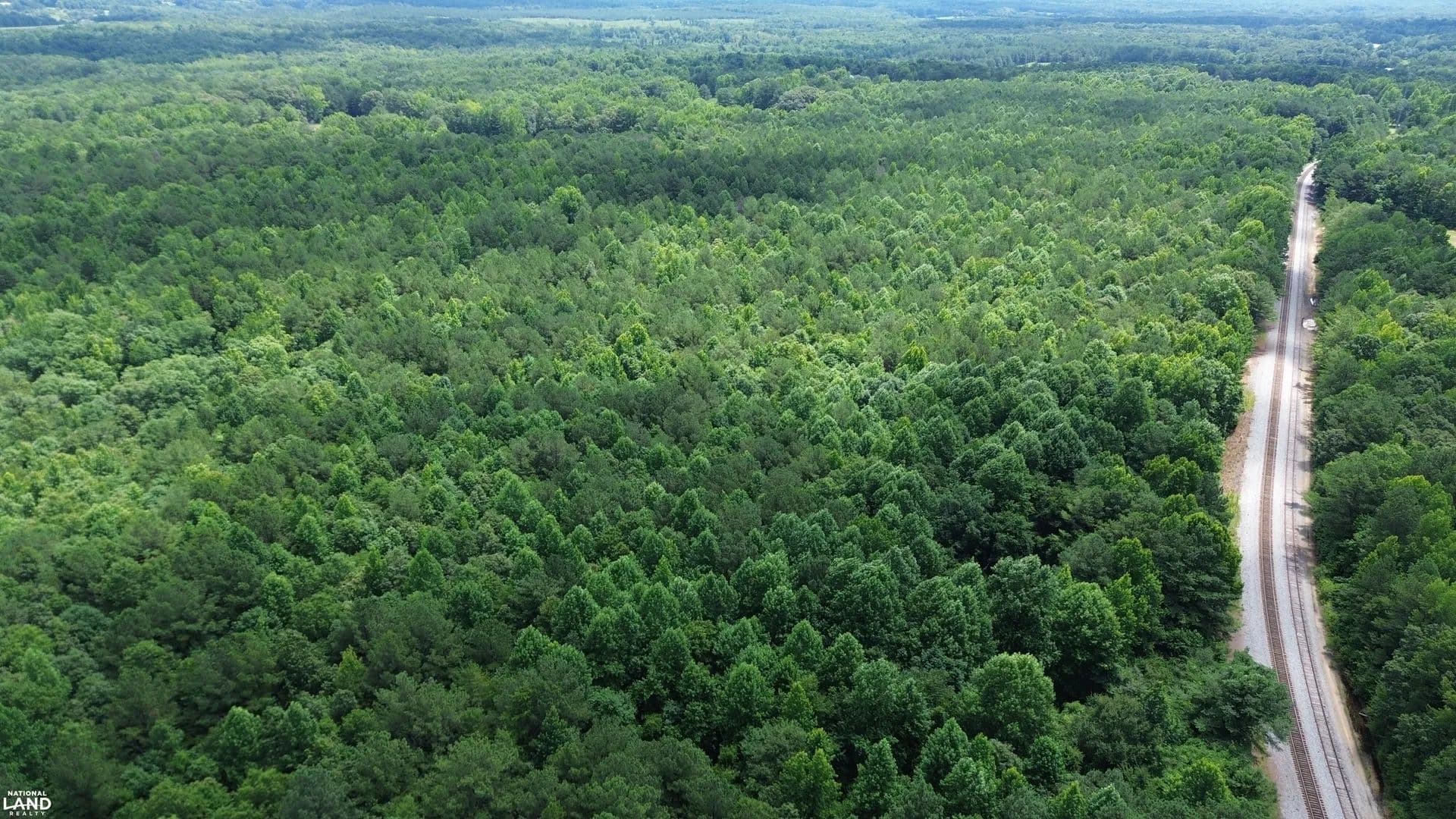 Prospect Timber and Hunting Investment Tract - Nauvoo, Alabama, 35578
