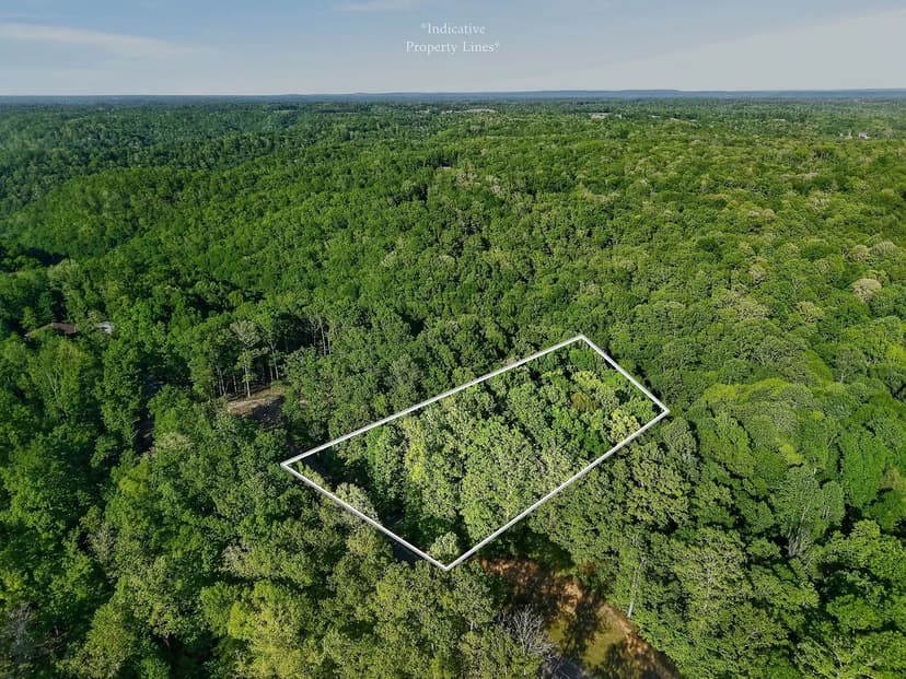 Lots & Land-Other in Sparta