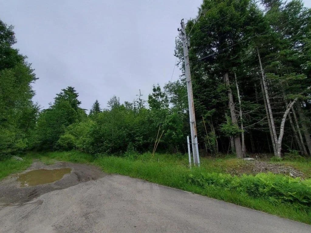 Land -Single Family Acreage in Princeton - Princeton, Maine, 04668