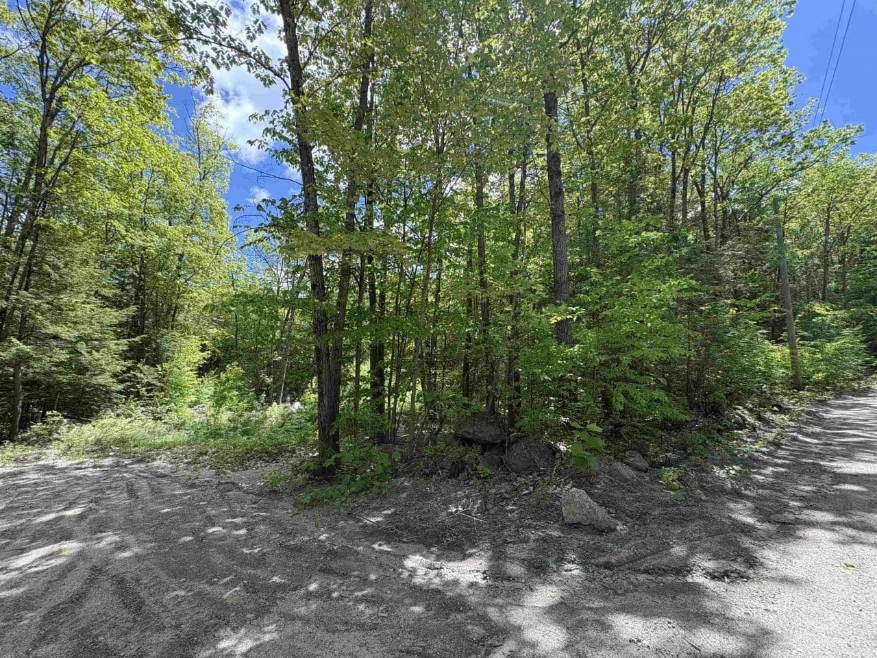 Vacant Land in Antrim - Antrim, New Hampshire, 03440