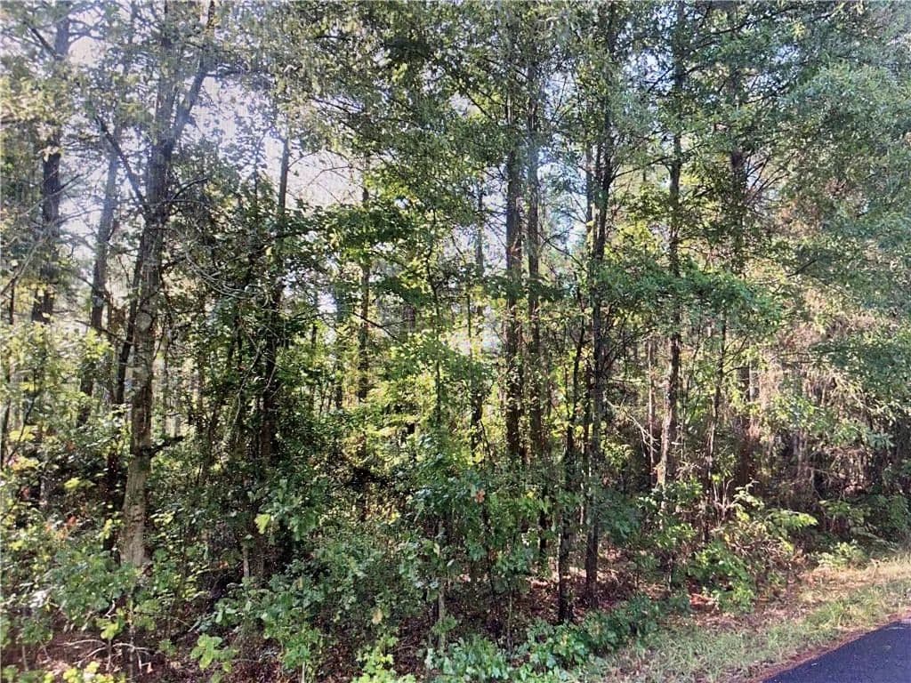 Lots & Land-Other in Goldonna - Goldonna, Louisiana, 71031