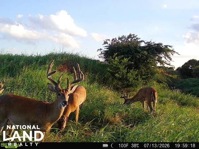 Kingfisher Creek Hunting Tract - Kingfisher, Oklahoma, 73750