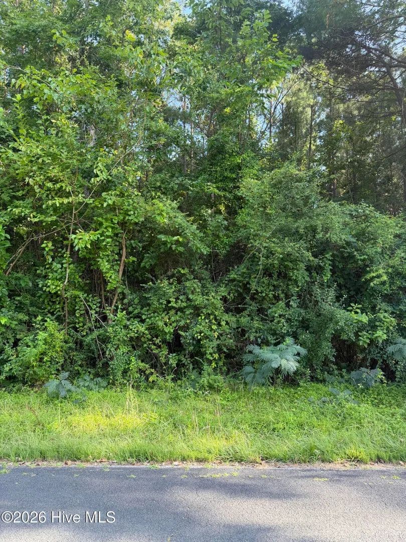 Vacant Land in New Bern - New Bern, North Carolina, 28560