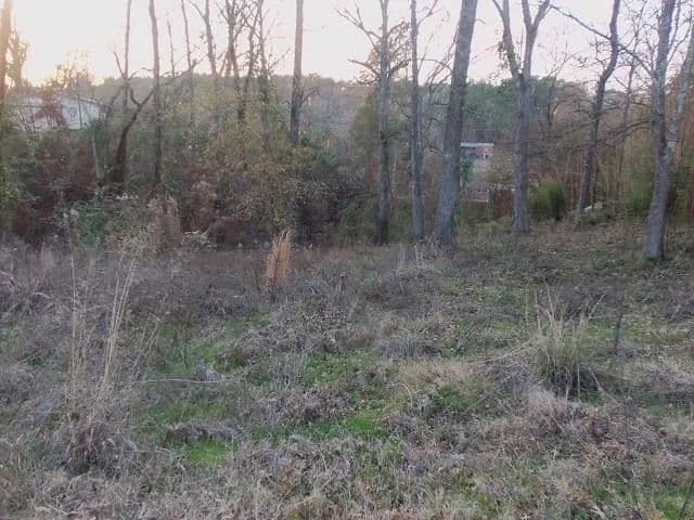 Vacant Land in Kilgore