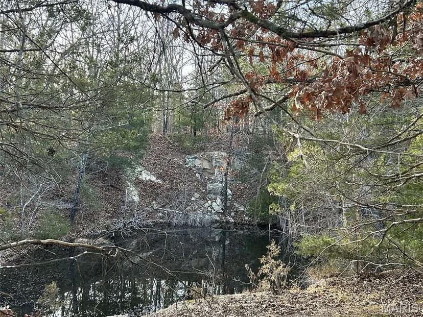 Property from Lot 11 Danz Forest Drive - KW