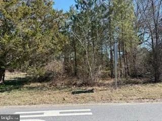 Vacant Land in Galestown