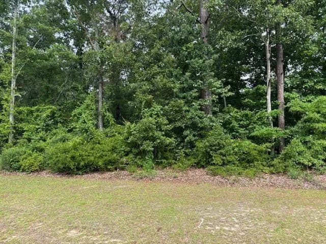 Property from 000 Sc Hwy 3 - KW - Barnwell, South Carolina, 29812