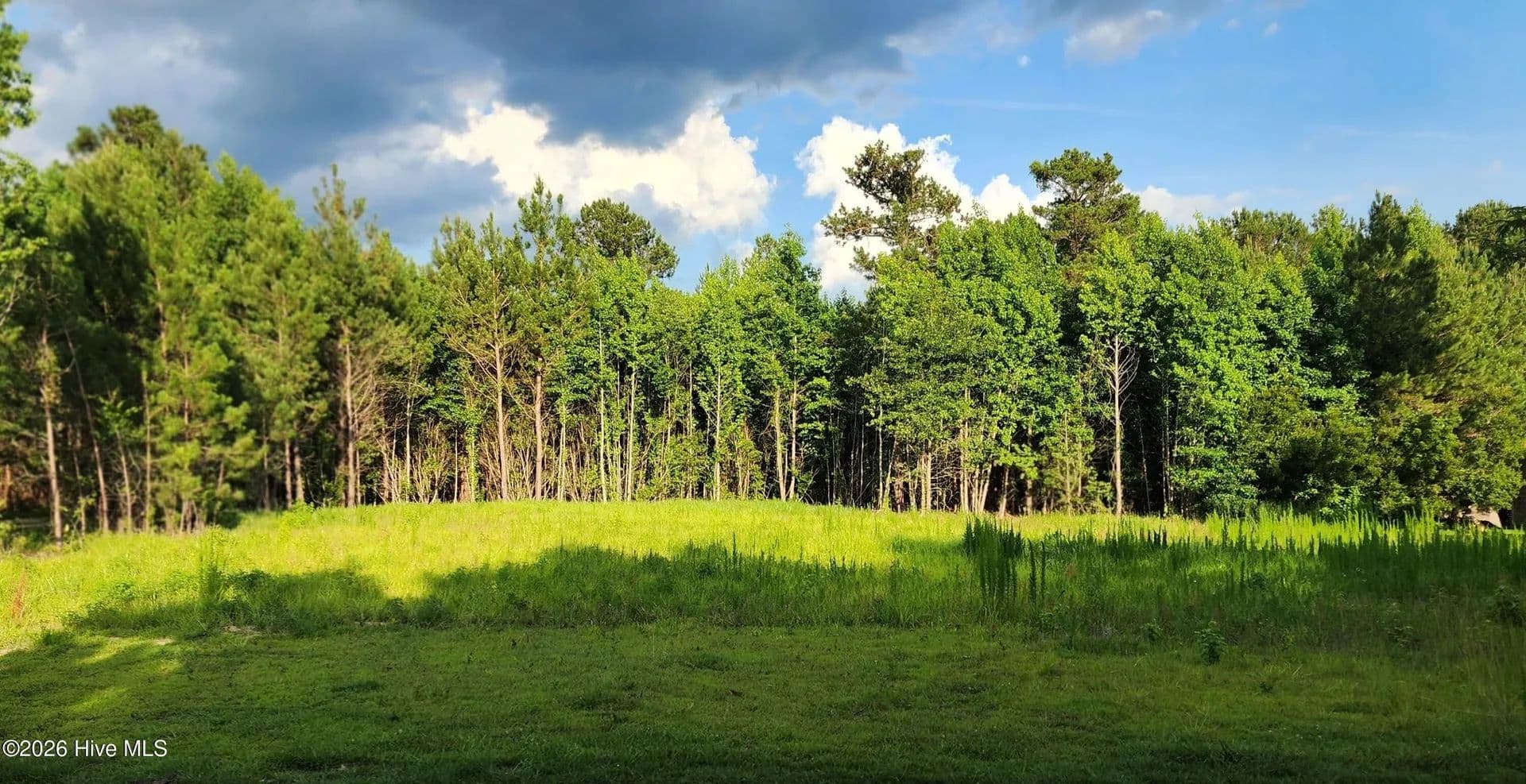 1 Acre of Land for Sale in Burgaw, NC - Burgaw, North Carolina, 28425