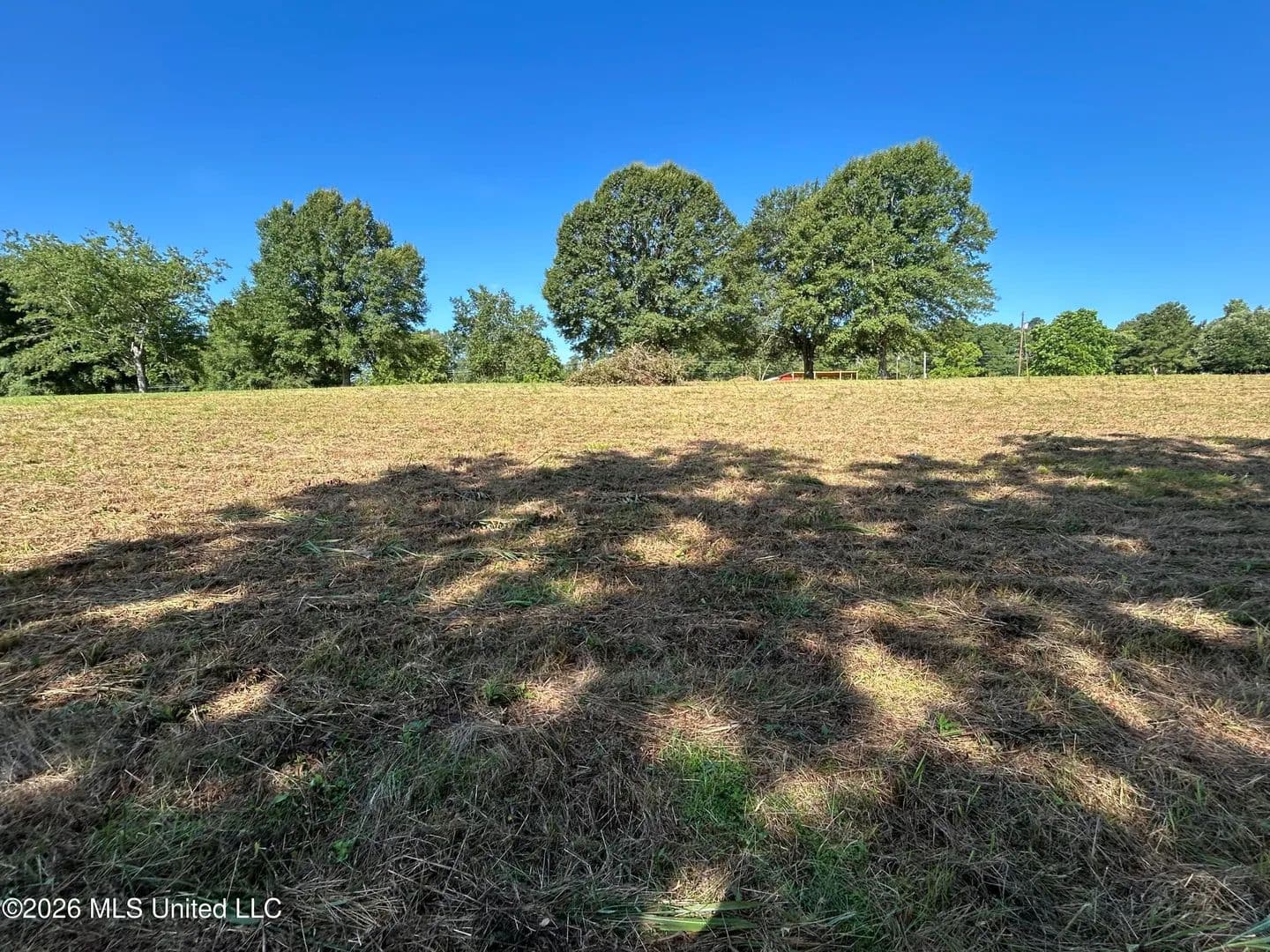 Property from 0000 Willis Cotton Road - KW - Summit, Mississippi, 39666