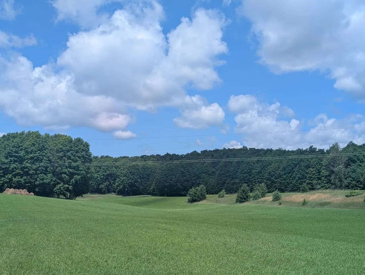 63+- acres prime mixed habitat parcel Ellsworth MI - Ellsworth, Michigan, 49729
