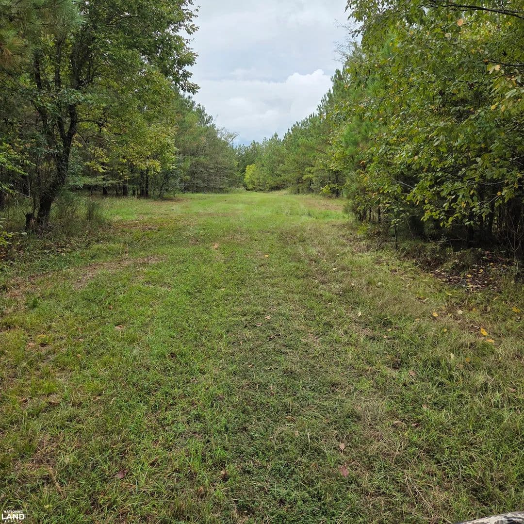 Old Pike Road Hunting and Investment Land - Pine Level, Alabama, 36069