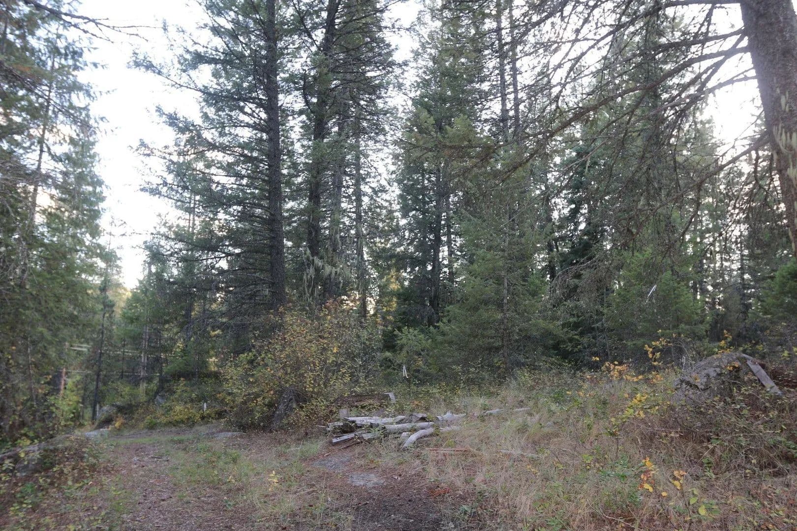 Vacant Land in Newport - Newport, Washington, 99156