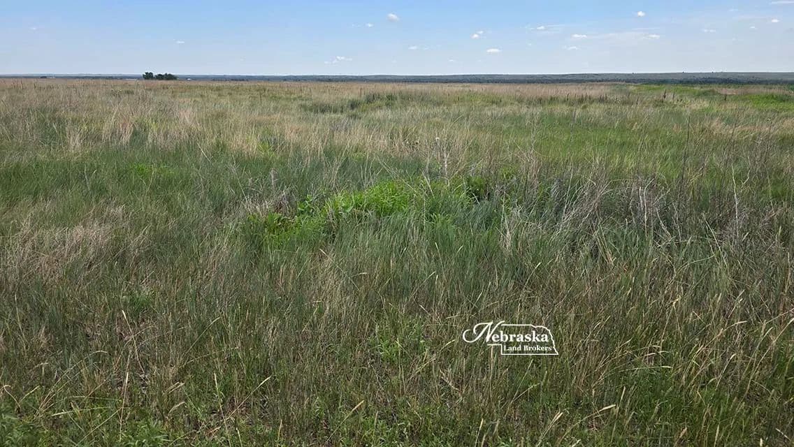 Hitchcock County CREP - Culbertson, Nebraska, 69024
