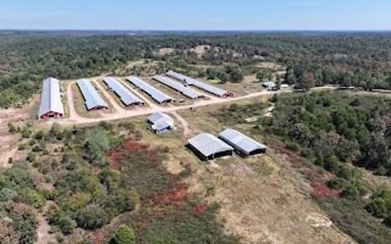 Poultry Farm - Cave City, Arkansas, 72521