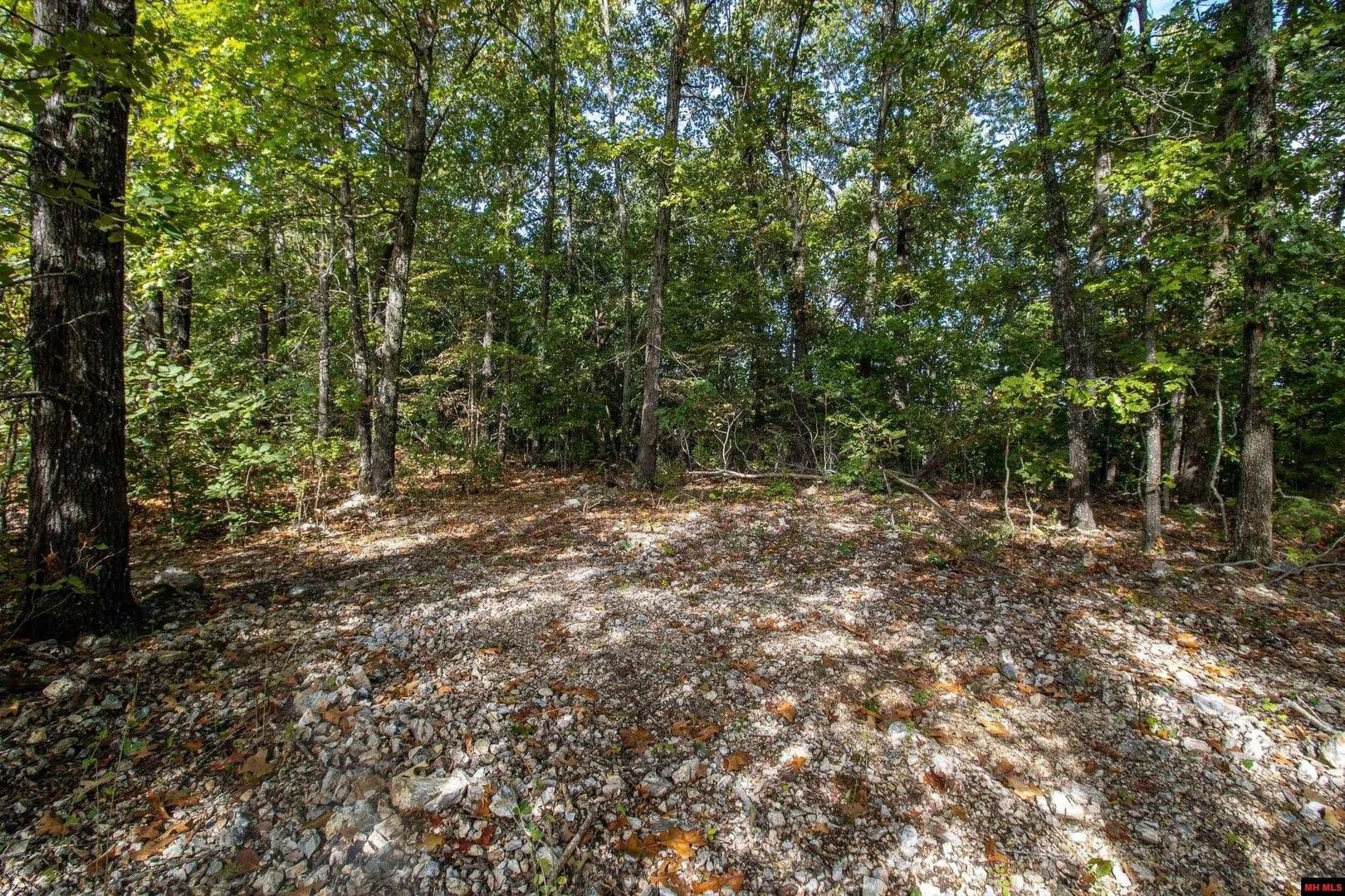 Lots & Land-Other in Mountain Home - Mountain Home, Arkansas, 72653