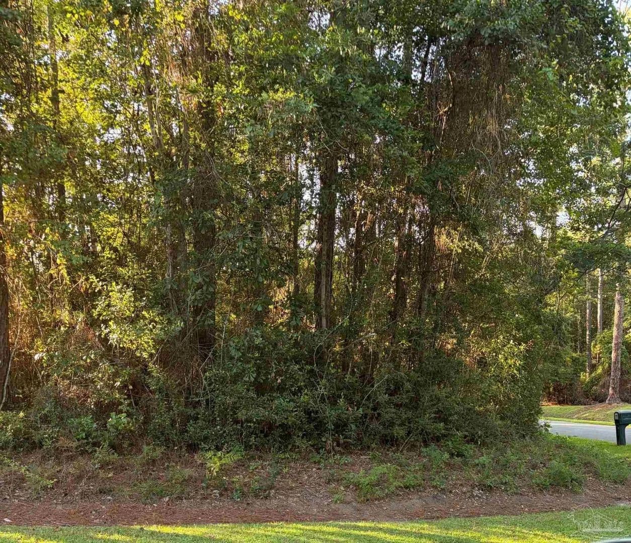 Lots & Land-Other in Cantonment - Cantonment, Florida, 32533