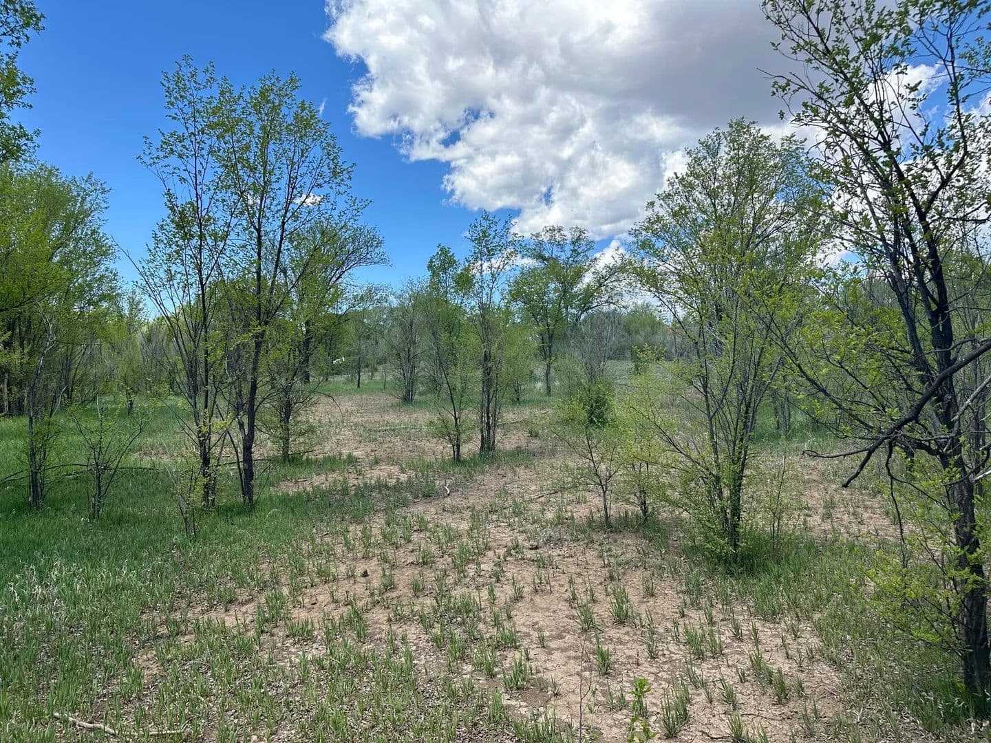 Property from 412 S Grand Avenue - KW - Las Vegas, New Mexico, 87701