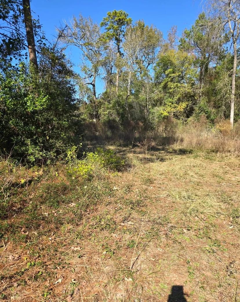 Property from 10287 Wanda Lane - KW