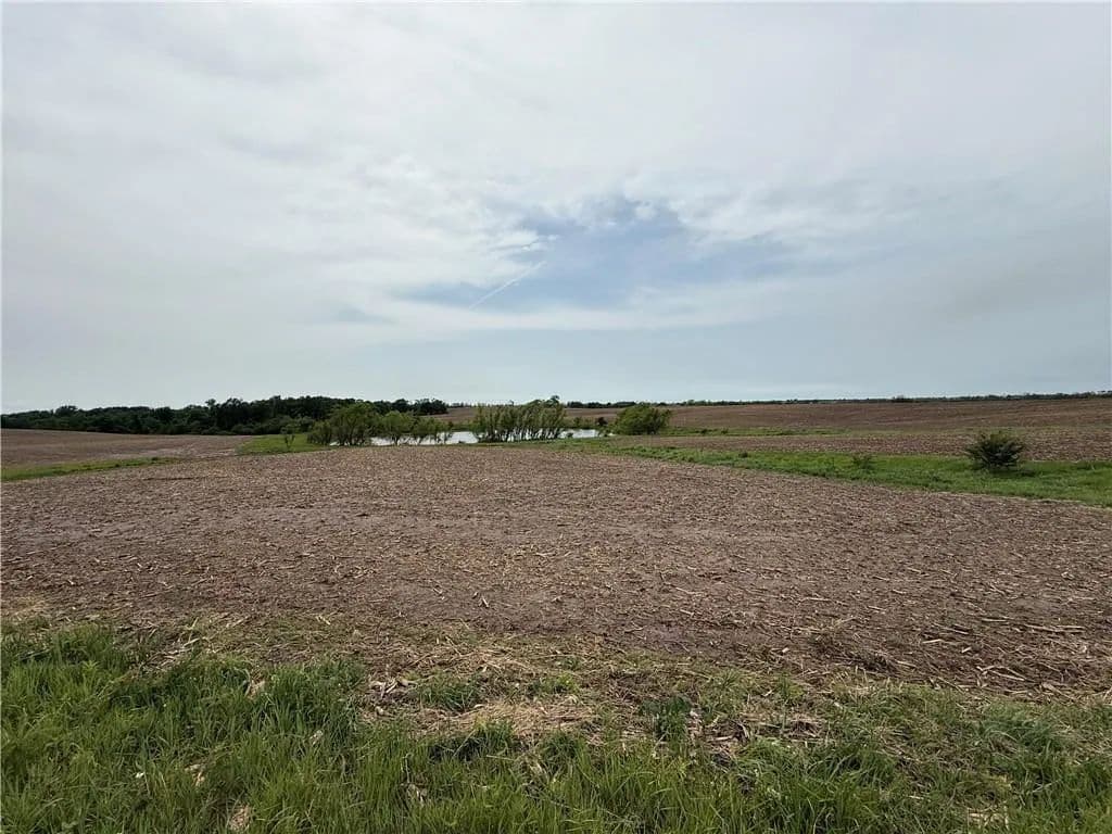8 Acres of Land for Sale in Purdin, MO - Purdin, Missouri, 64674