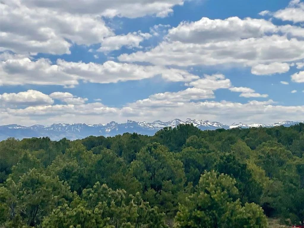 Vacant Land in Montrose - Montrose, Colorado, 81403