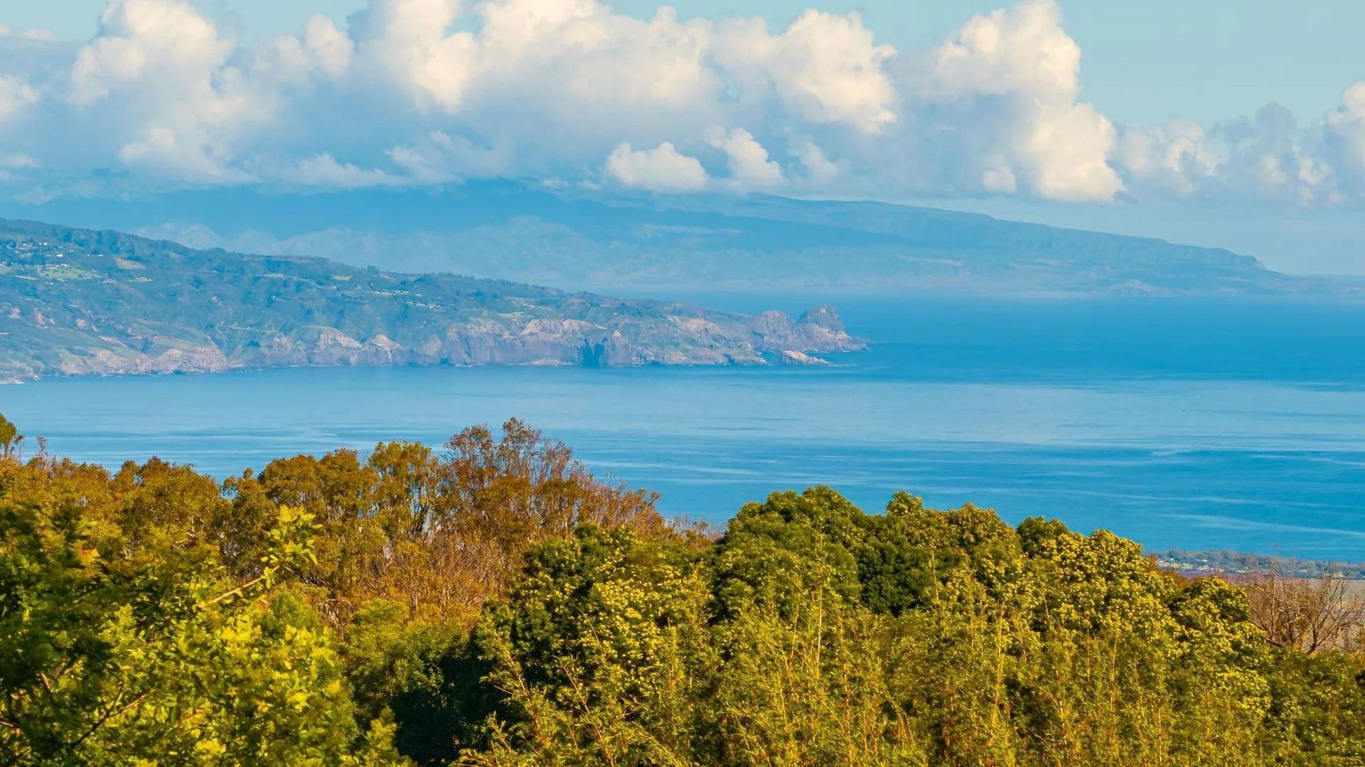 2 Acres of Land for Sale in Makawao, Hawaii - Makawao, Hawaii, 96768
