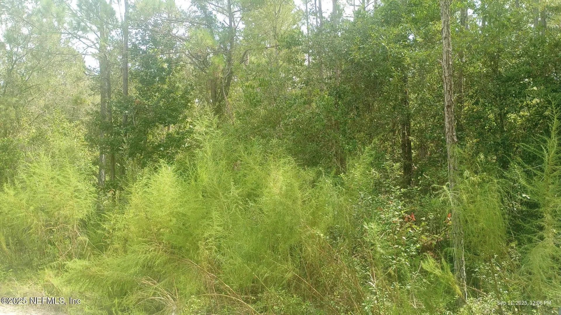 Lots & Land-Other in Hastings - Hastings, Florida, 32145