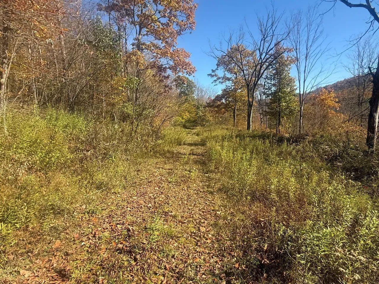0 Smith Rd, Eldred, PA - Eldred, Pennsylvania, 16745