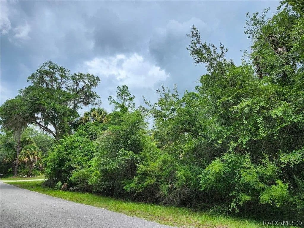 Lots & Land-Other in Crystal River - Crystal River, Florida, 34428