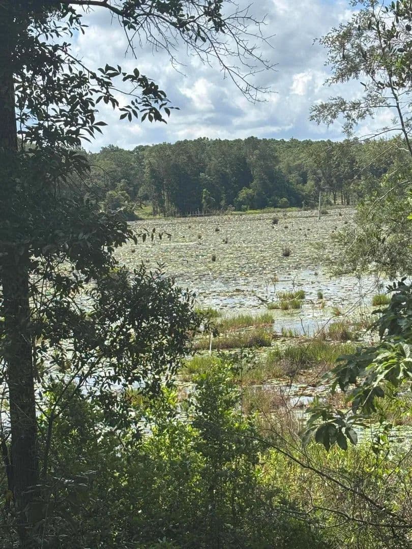 0.75 Acres of Land for Sale in Defuniak Springs, Florida - Defuniak Springs, Florida, 32433