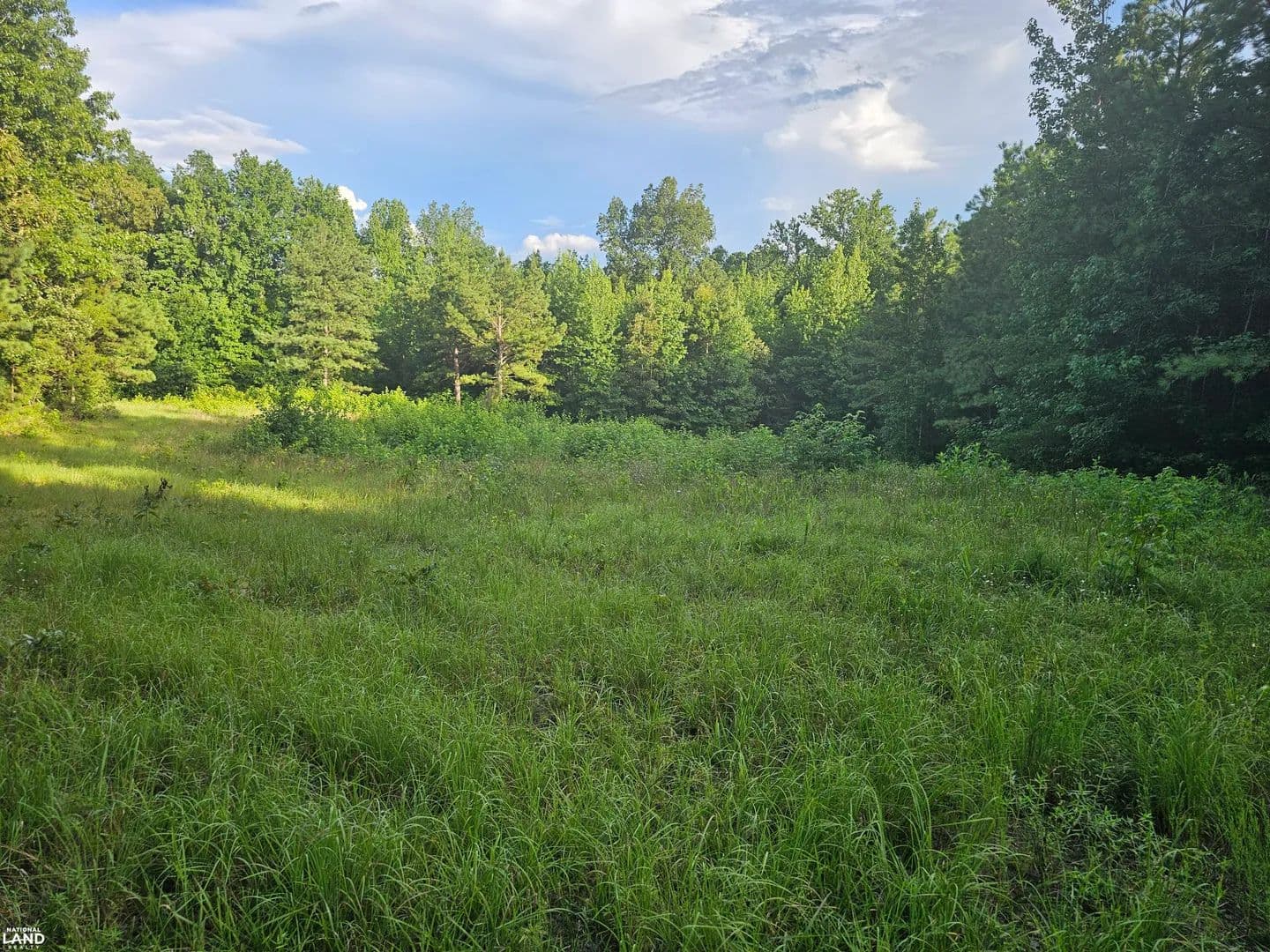 Slick Rock Undeveloped Recreational Property - Russellville, Alabama, 35653