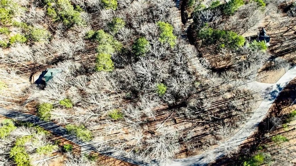 Vacant Land in Ellijay - Ellijay, Georgia, 30540