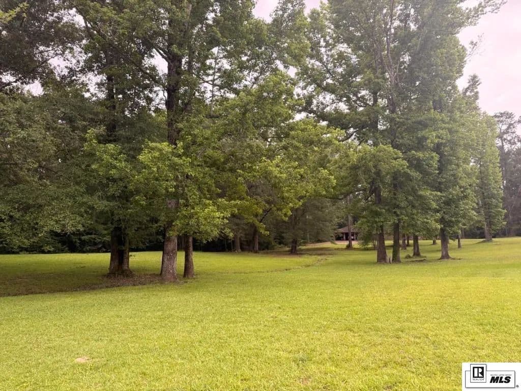 Vacant Land in Urania - Urania, Louisiana, 71480