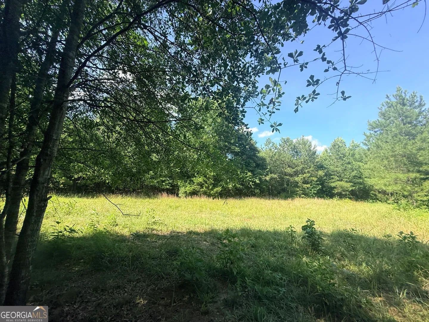 13.33 Acres of Land for Sale in Elberton, GA - Elberton, Georgia, 30635