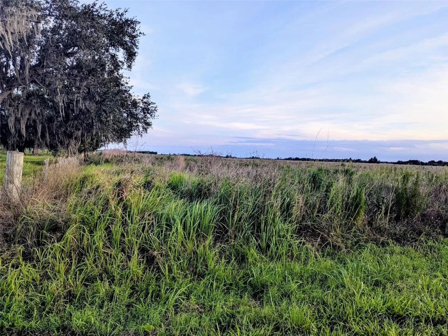 10 Acres of Land for Sale in Zolfo Springs, Florida - Zolfo Springs, Florida, 33890