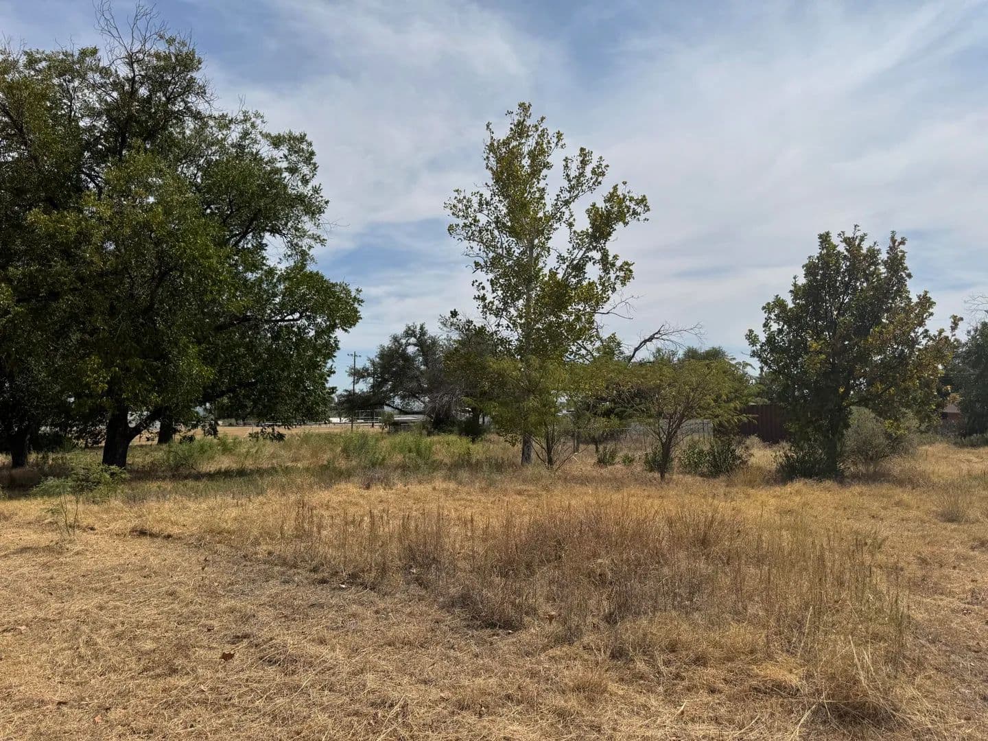 Vacant Land in Robert Lee - Robert Lee, Texas, 76945