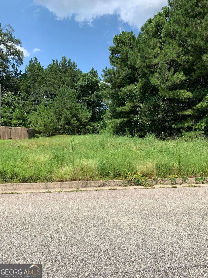 Lots & Land-Other in Stockbridge - Stockbridge, Georgia, 30281
