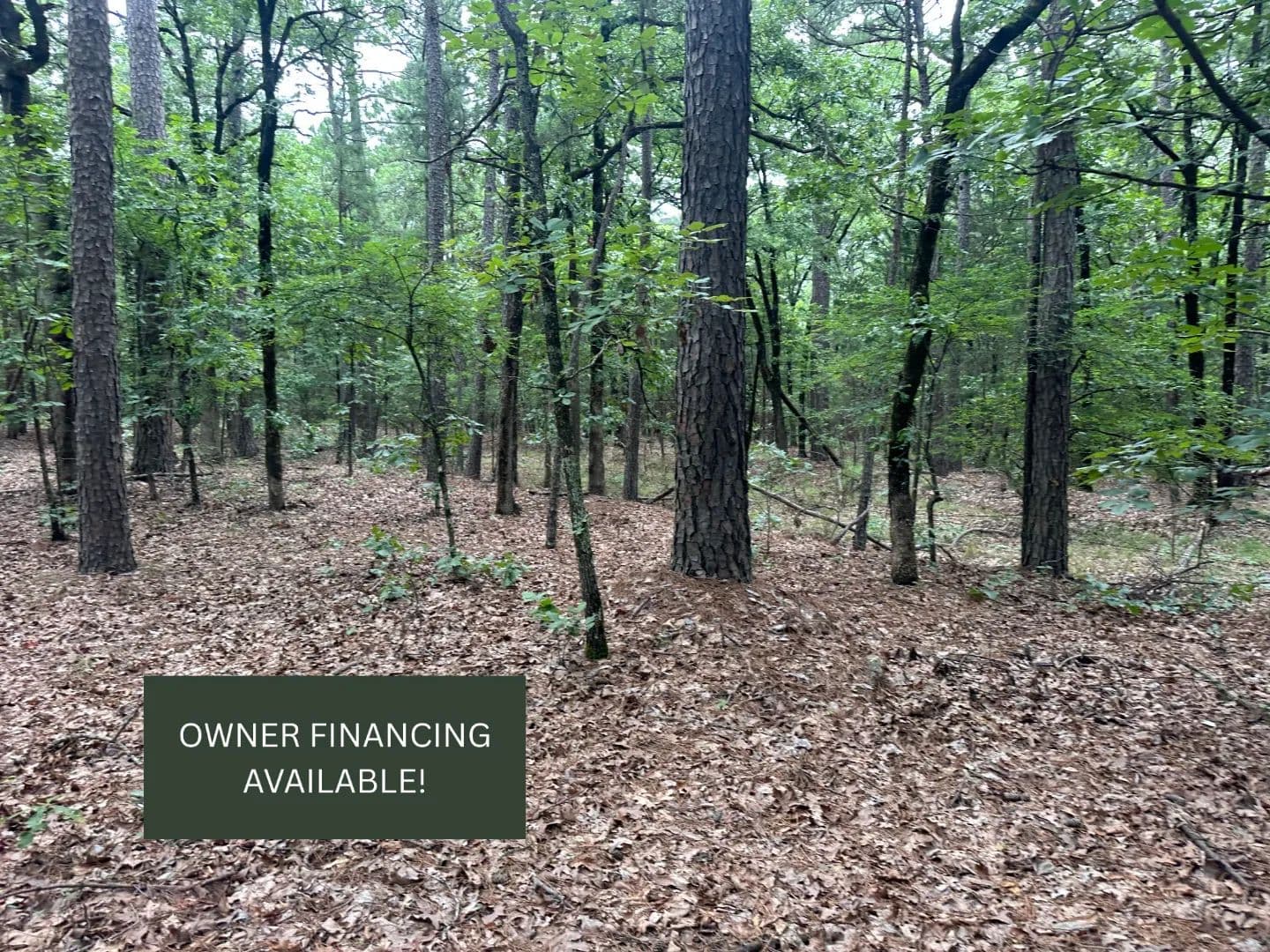 001 Johns Valley Road, Moyers - 40 Acres of wooded land - Moyers, Oklahoma, 74557