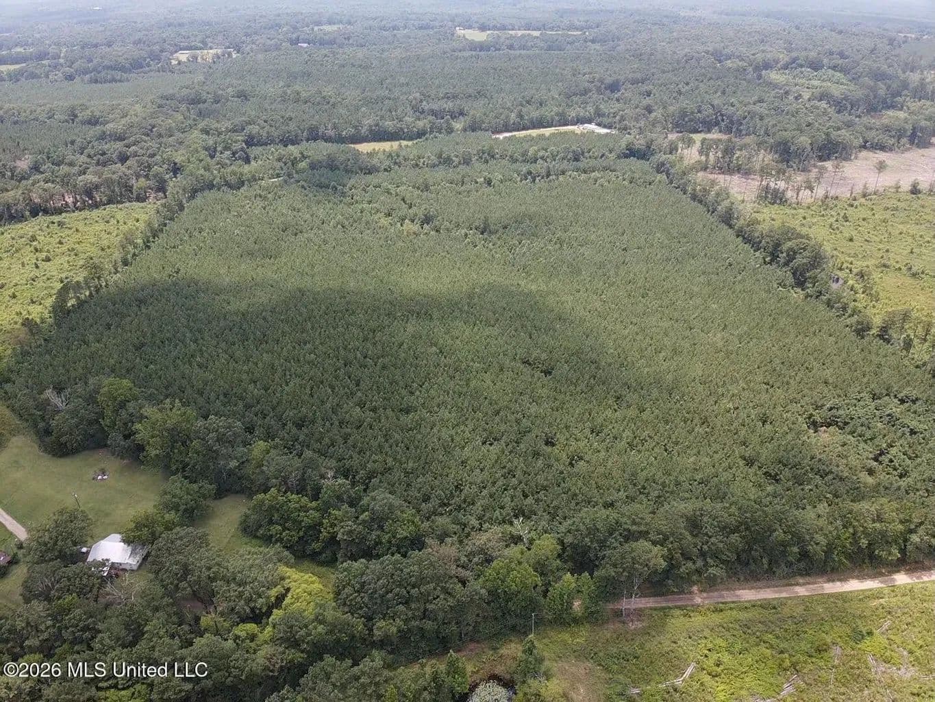 12 Acres of Wooded Land for Sale in Morton, MS - Morton, Mississippi, 39117