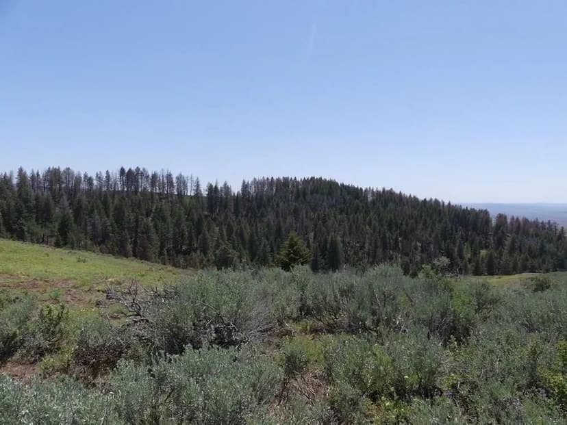 Lots & Land-Other in Indian Valley