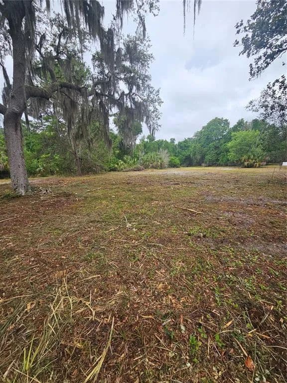 Vacant Land in Geneva - Geneva, Florida, 32732