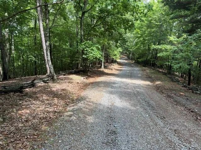 Lots & Land-Other in Blue Ridge - Blue Ridge, Georgia, 30513