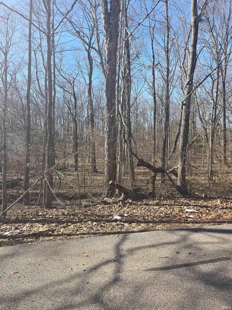 Vacant Land in Santa Claus - Santa Claus, Indiana, 47579