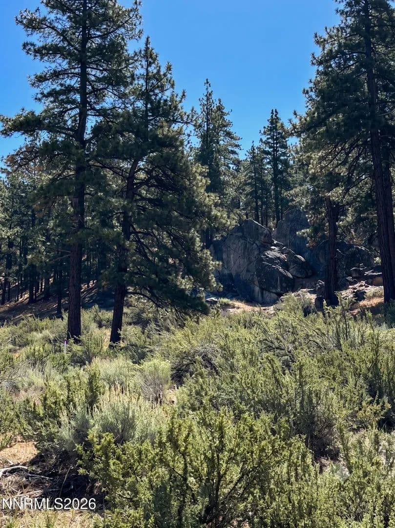Property from 570 Headwaters Way - KW - Carson City, Nevada, 89705
