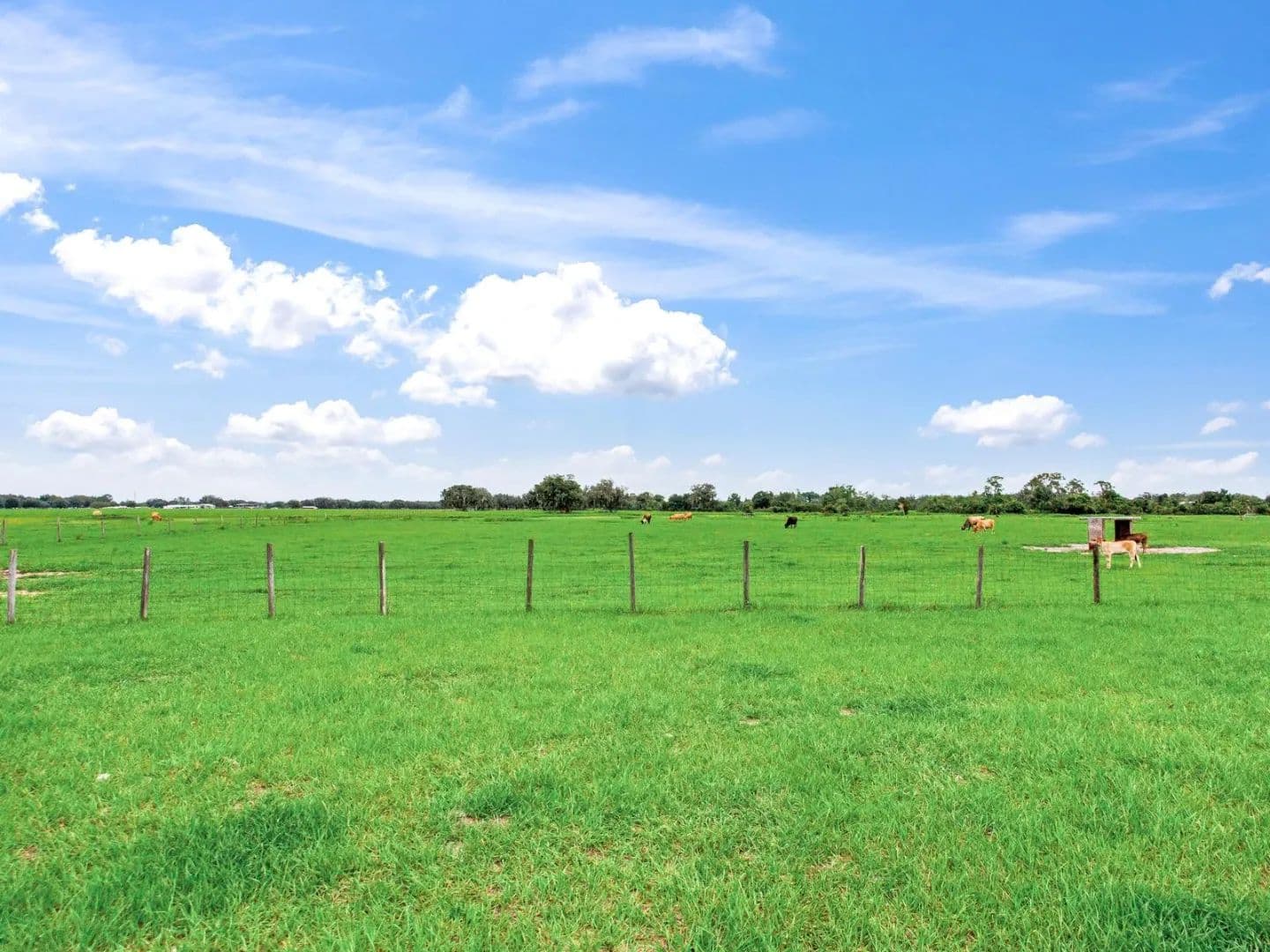 Polk Ridge Ranch - Florida, 33841
