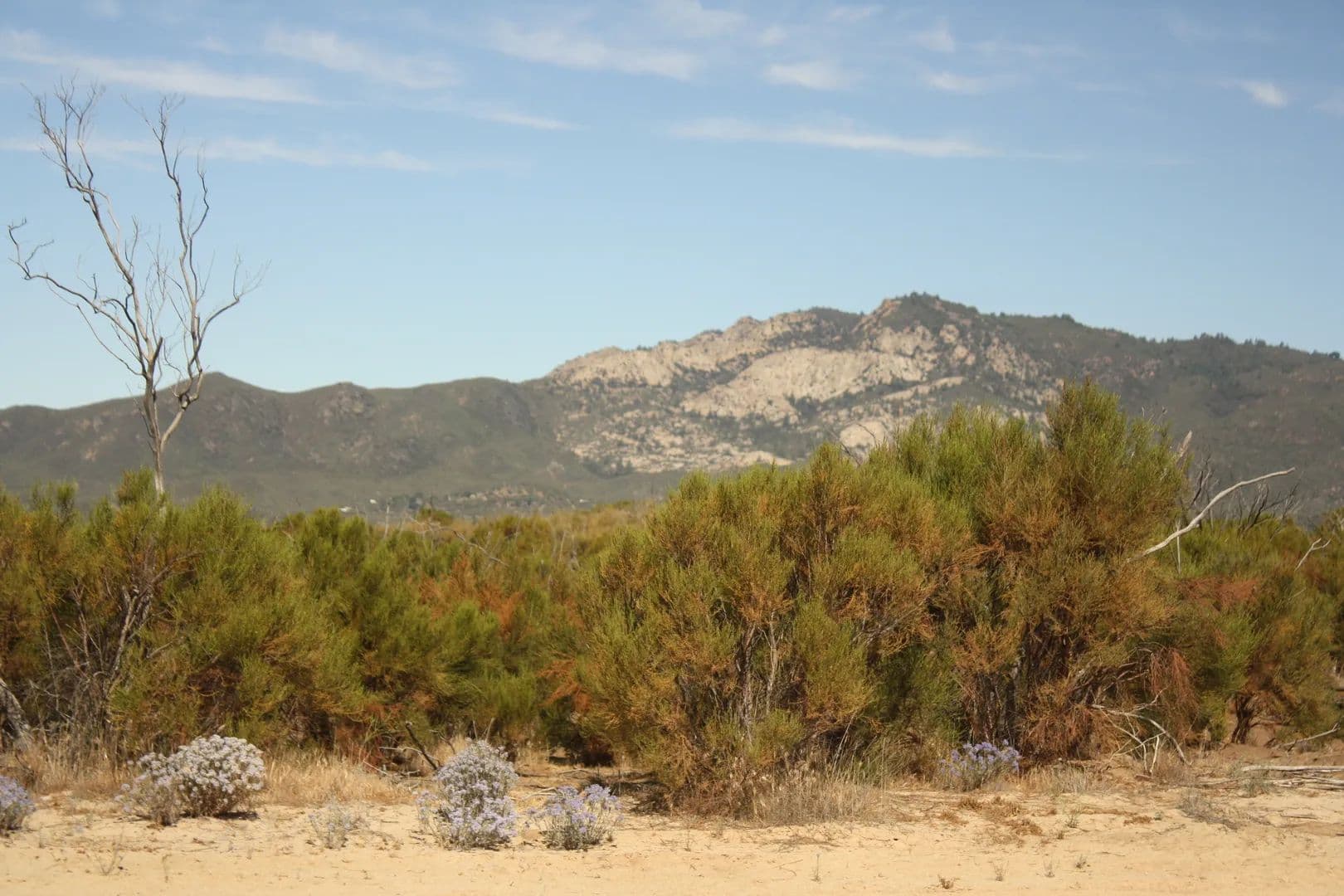 Vacant Land (0-10 Acres) in Anza - Anza, California, 92539